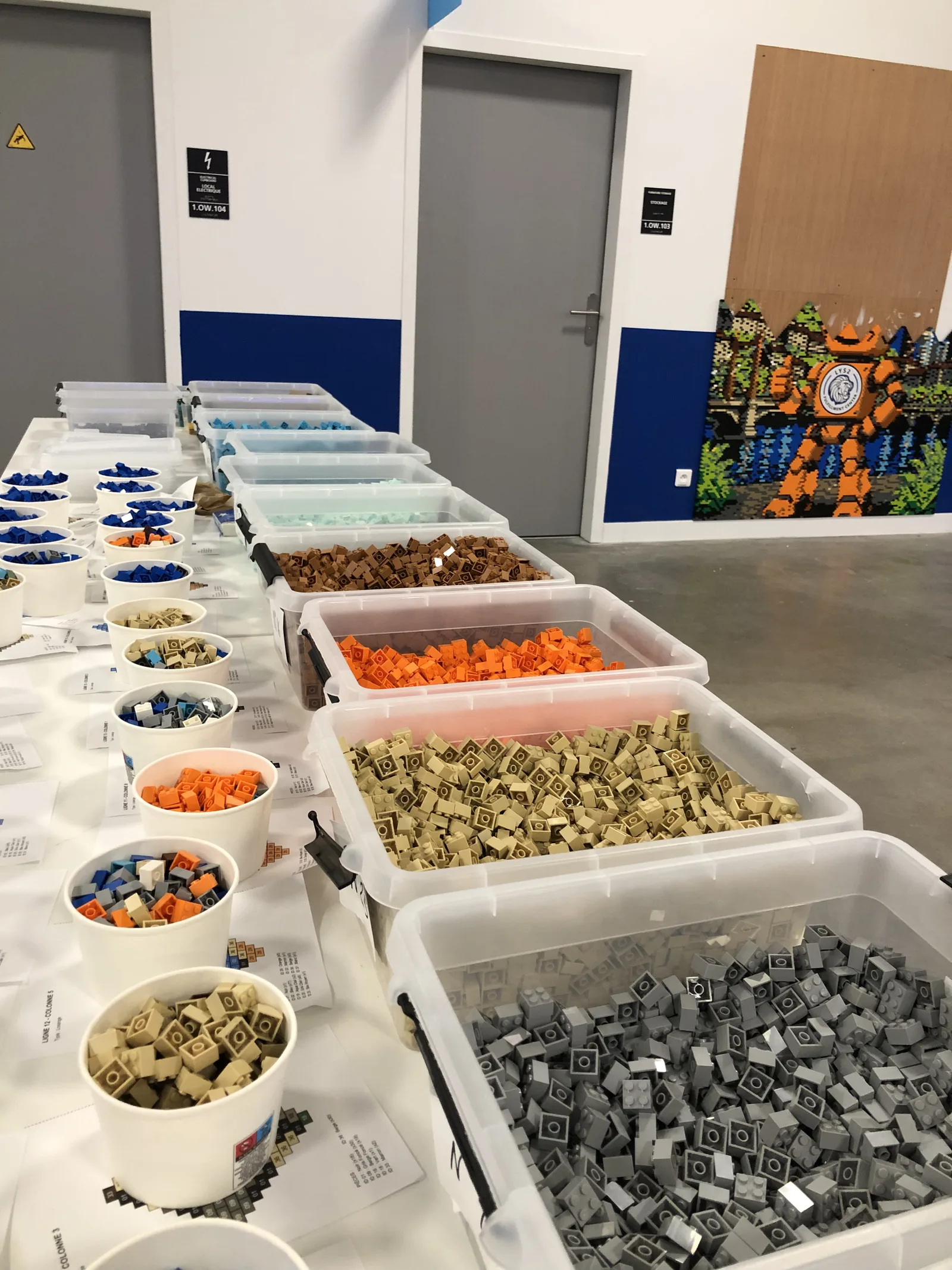 Trays of coloured bricks prepared for an activity